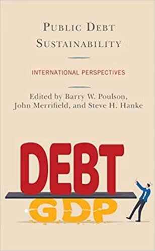 预订public debt sustainability: international perspectives