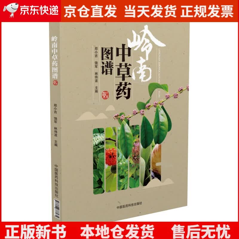 岭南中草药图谱《现货速发》，