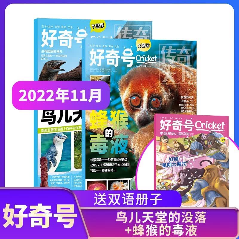 【包邮】【2022年单期订阅】好奇号杂志 2022年11月期鸟儿天堂的没落 单期订阅 每月3册 少儿科普 杂志铺
