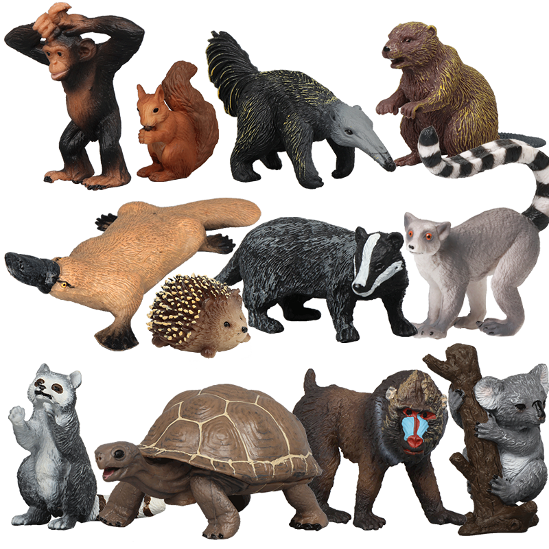 探寻市场趋势：高性价比的`产品名称`价格走势分析|儿童仿真动物玩具价格曲线查询