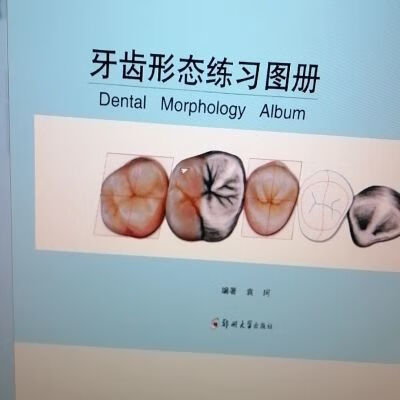 新版:牙齿形态练习图册:画牙:雕牙练习 新版 牙齿形态练习图册 画牙 雕牙练习