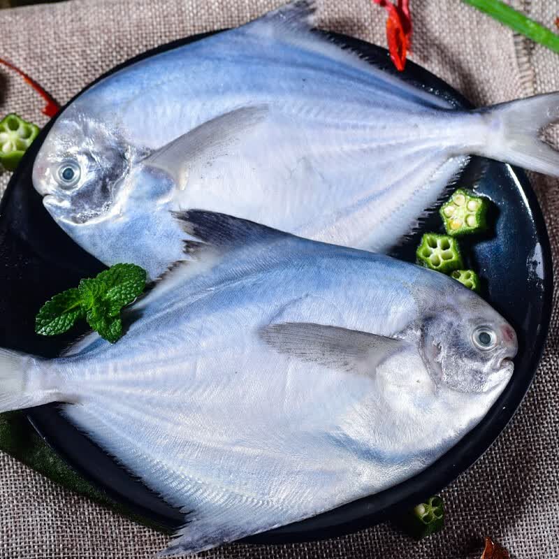 虾有虾途银鲳鱼白鲳鱼特大鲳鱼生鲜 鱼类新鲜冷冻银昌鱼海鱼平鱼海鲜批发 特大银鲳鱼【3斤】装每斤约3-4条