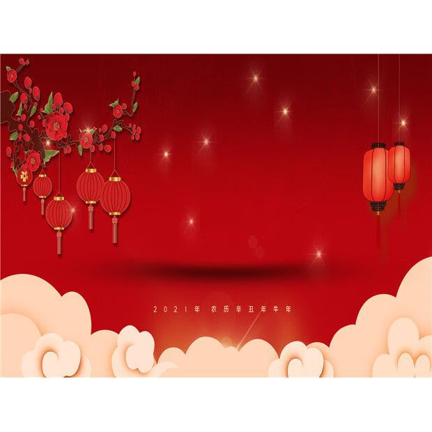 罔济新年中国风新年新春直播背景布3d立体拜年背景元旦春节全家福背景