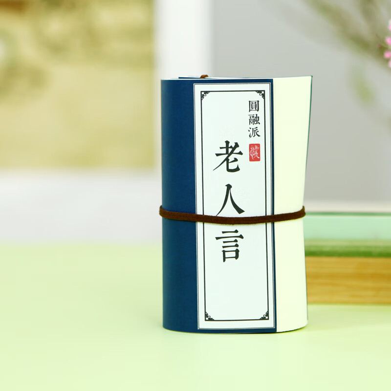 老人言国学未删减字帖白话译文描红手抄写本