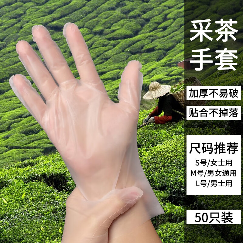 澳颜莱2024新款摘茶叶用的手套 一次性采茶叶专用手套pvc手套tpe乳胶