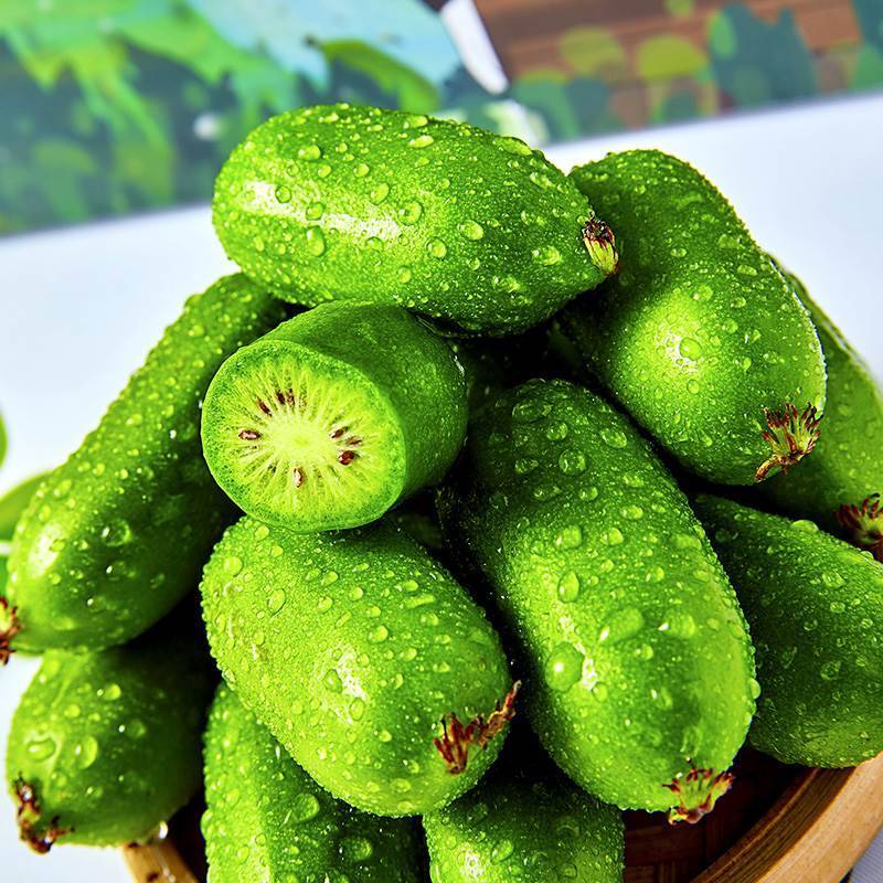 舅甜果蔬 丹东软枣猕猴桃(顺丰)时令水果桃圆长形龙城2号东北软狗子