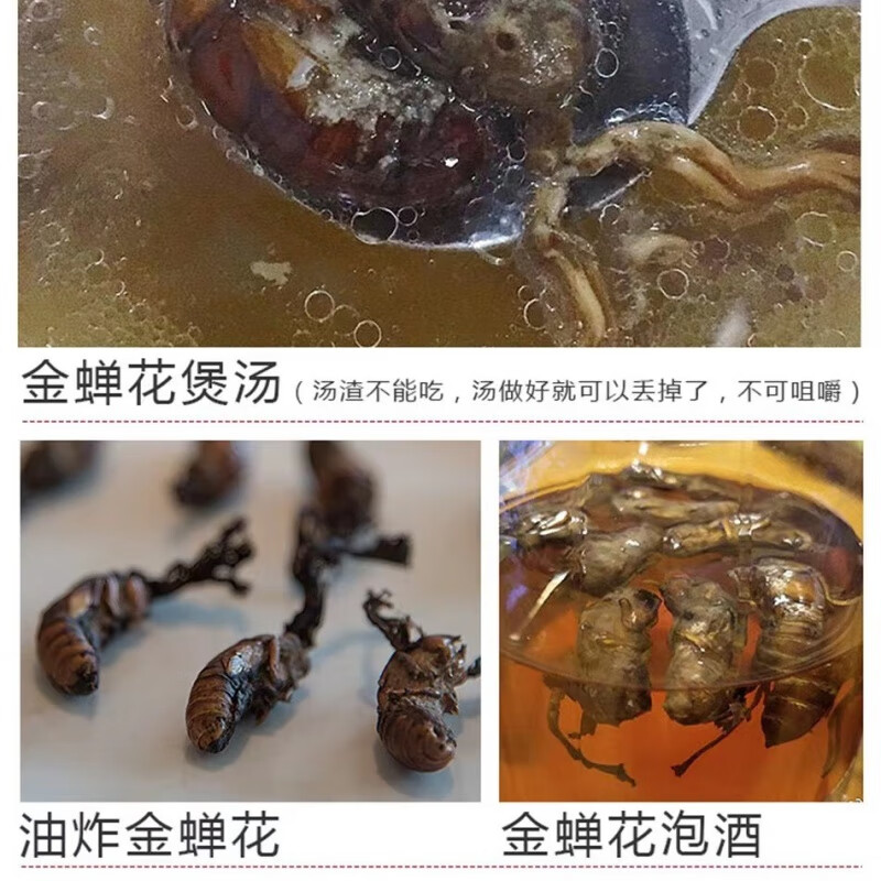 云南特产全滋补山货野生金蝉花大山天然生长人工采摘泡酒煲汤 金蝉花