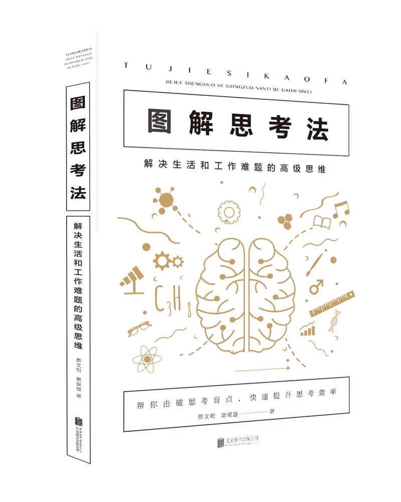 图解思考法：解决生活和工作难题的高级思维