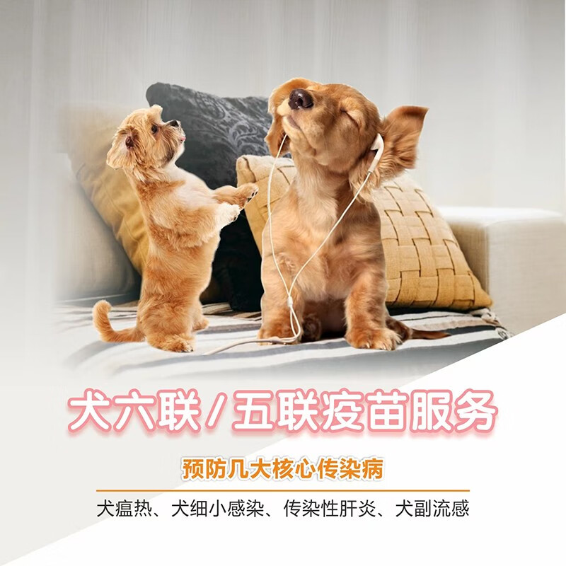 到院服务 犬疫苗/狗狗疫苗 卫佳五疫苗 英特威六联疫苗 狗狗单针犬六