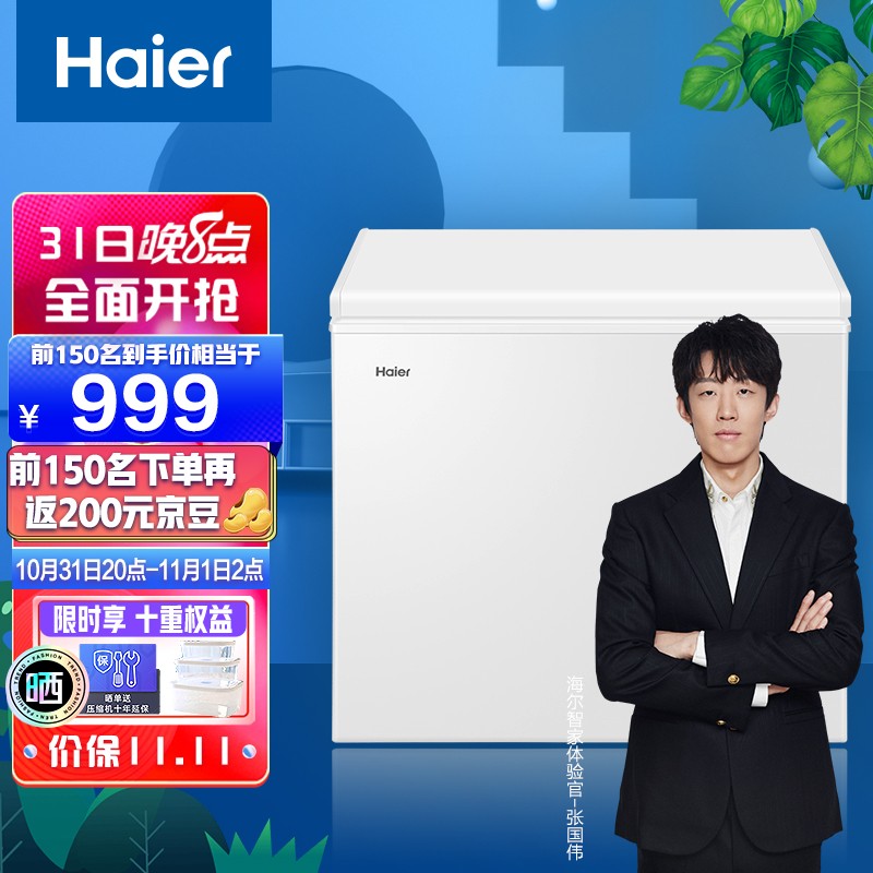 海尔（Haier）203升低霜小型商用家用冰柜 冷藏冷冻转换冷冻柜母乳冷藏小冰箱冷柜BC/BD-203HTD