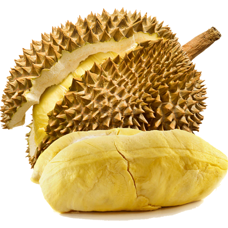 ������ ���ڽ������� 2-4��װ ����14������ �ʹ� ���� ����ˮ��