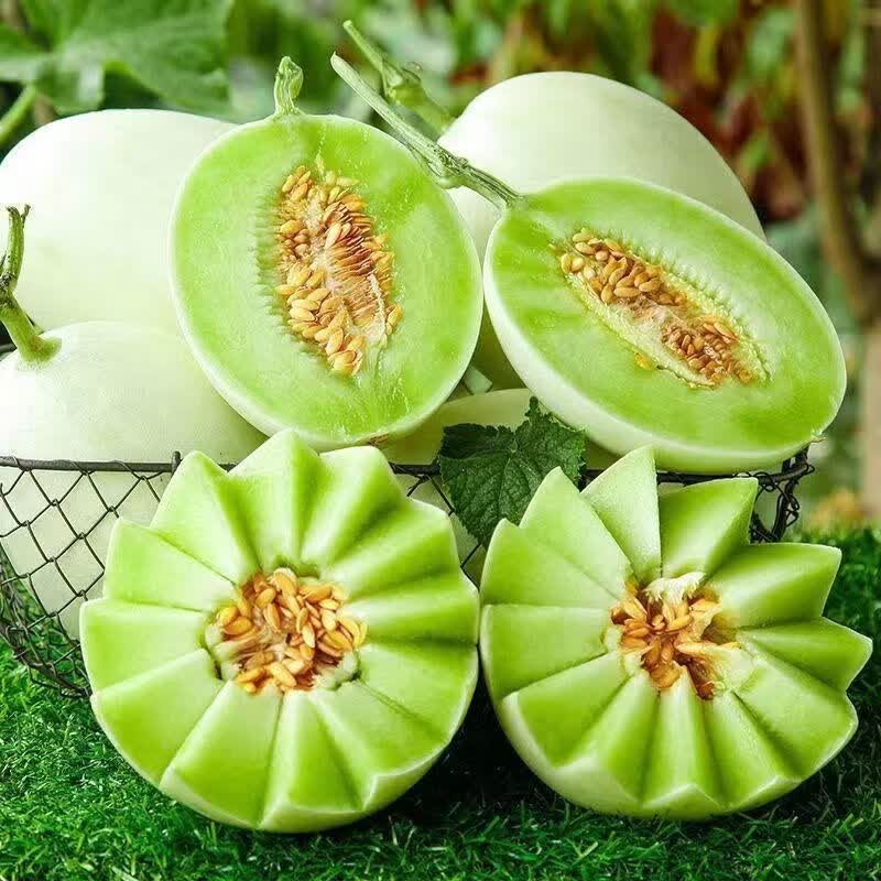 田园东方海南玉菇甜瓜 冰激凌香瓜 当季新鲜水果（变软再食用） 带箱毛重 5斤装净重（4.5斤）