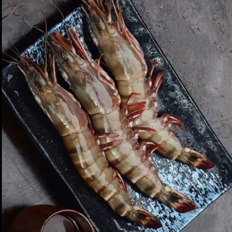 海路易特大红虎虾2斤 新鲜活冻新鲜海产海虾基围虾红虎虾鲜活虾 19-22