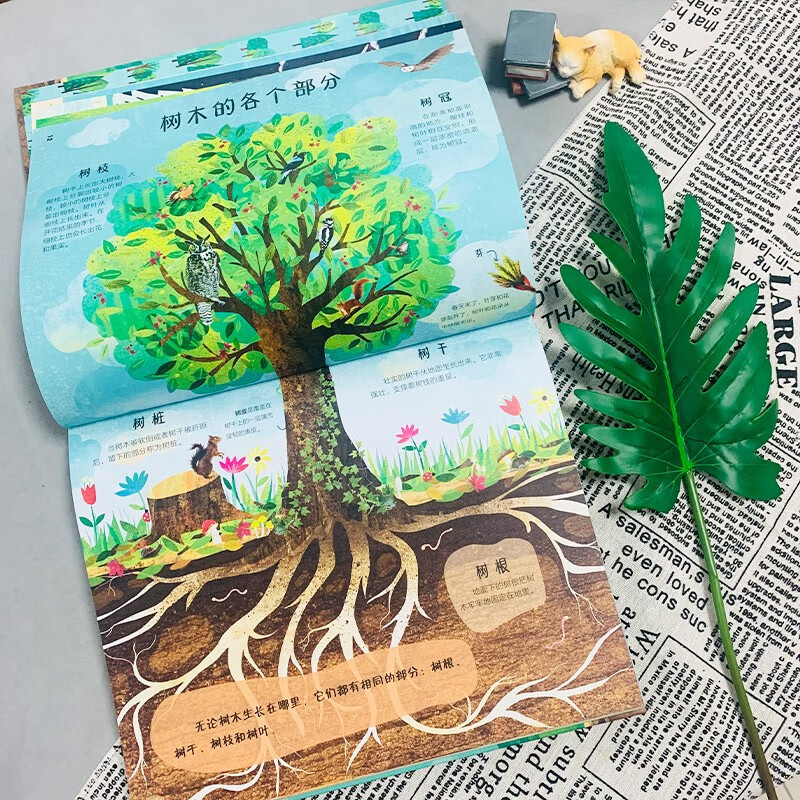DK儿童科普百科：动物园+博物馆+空间站+树百科+虫百科+鸟百科详情图