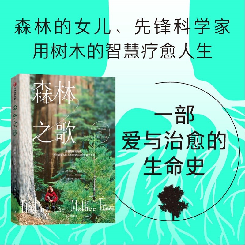 森林之歌 苏珊娜·西马德 著 女性励志 中信出版社