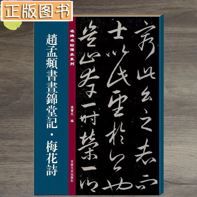 趙孟頫書晝錦堂記·梅花詩 孙宝文编 赵孟頫行书毛笔书法字帖原碑全文附繁体旁注临摹碑帖 名碑名帖传承系列