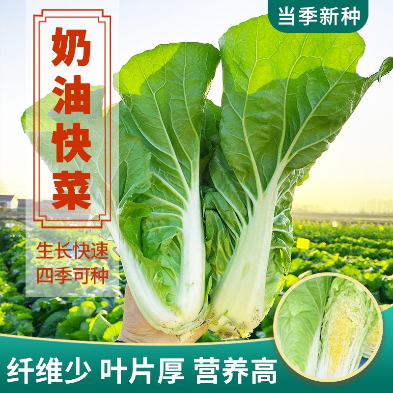 蔬菜类历史价格查询方法|蔬菜类价格历史