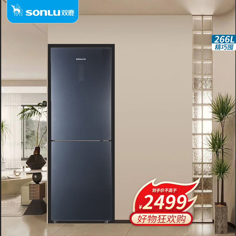 雙鹿266升雙開門冰箱風(fēng)冷無霜二門小戶型租房宿舍小型家用兩門電冰箱 BCD-266WGE（晶炫銀）