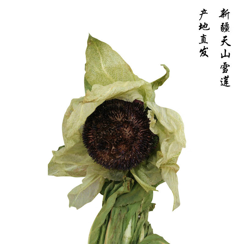 天山雪莲花干花 滋补泡酒料 新疆特产 10-20g/朵