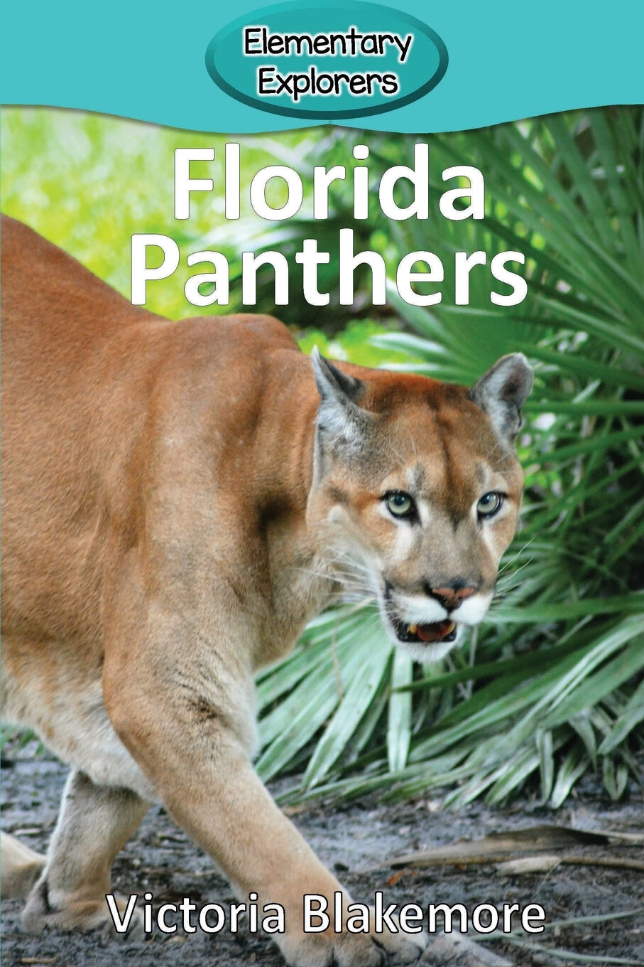 【预售 按需印刷】florida panthers