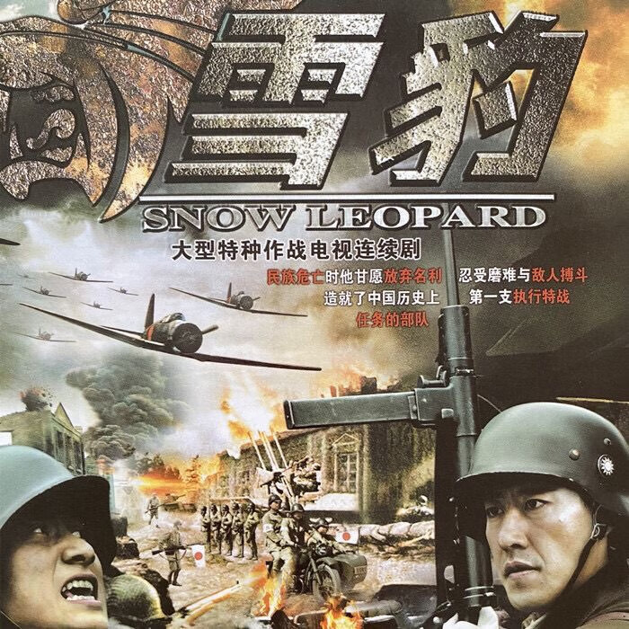 opuyym抗日谍战电视剧雪豹碟片dvd完整版40集 朱杰陶飞霏2碟