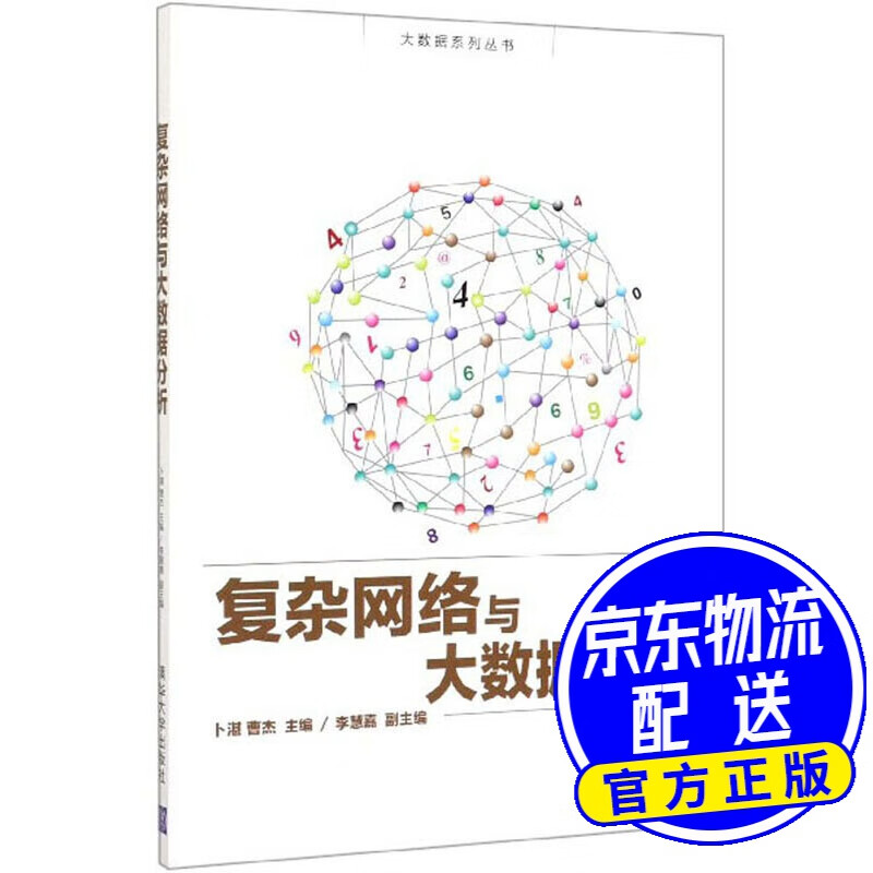 复杂网络与大数据分析/大数据系列丛书