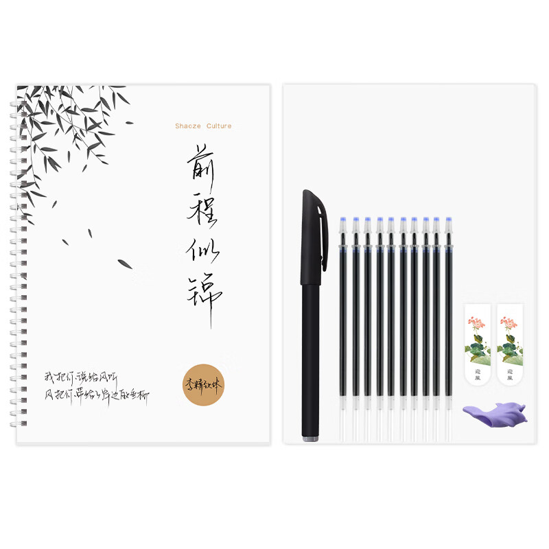 李精致前程似锦手写体字帖女生漂亮霸气网红练字帖硬笔初学者男生行书