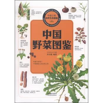 中国之美自然生态图鉴中国野菜图鉴