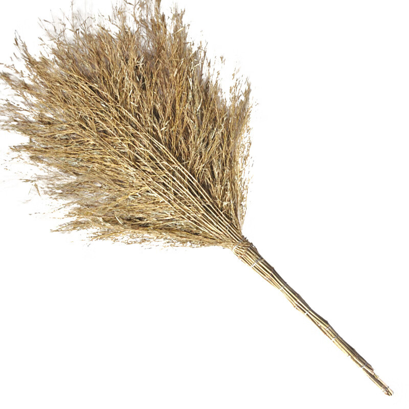 碧蓝仕(bilanshi)环卫竹扫把大扫把植物马路工地扫帚户外竹扫地扫帚