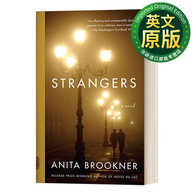 strangers vintage contemporaries 英文原版小说 陌生人 anita