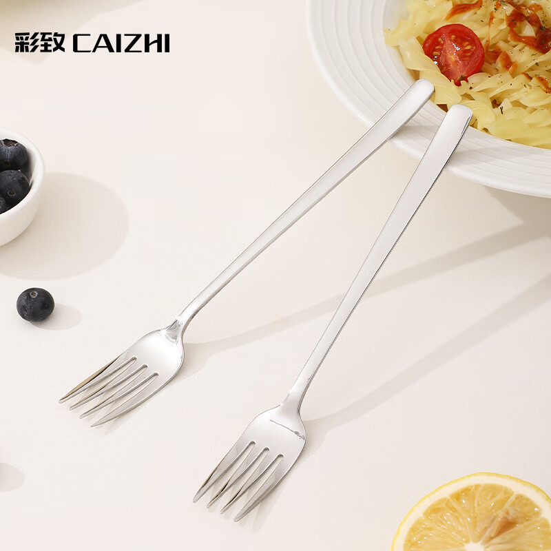 彩致（CAIZHI）304不锈钢叉子家用水果叉高颜值韩式西餐叉2支装CZ6801