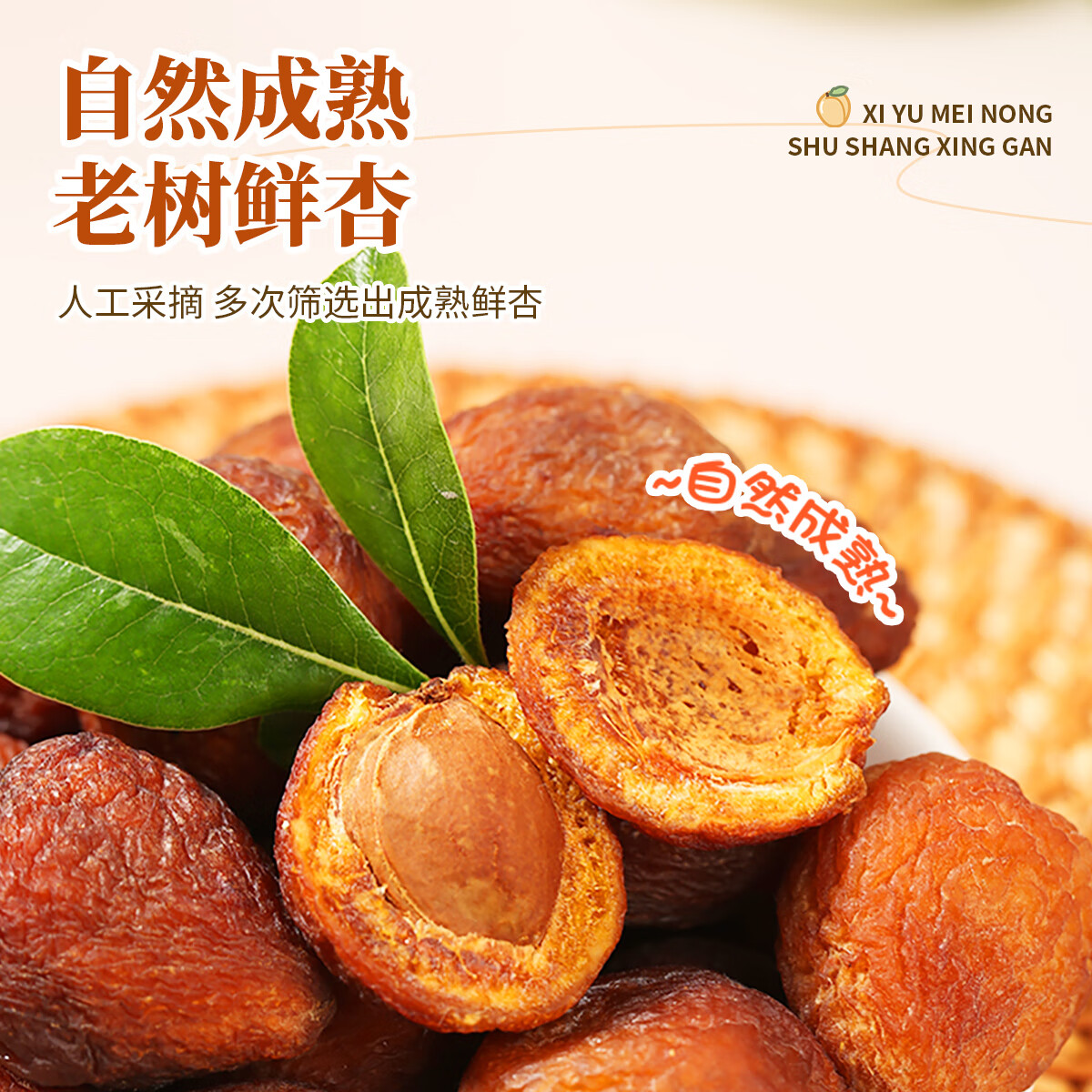 西域美农新疆树上杏干200g/袋特产果干蜜饯杏仁可吃 新疆树上杏干200g*3袋