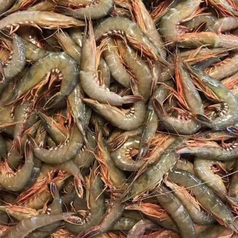 恒舜舟山青殼滑皮蝦鮮活速凍條蝦新鮮劍蝦活皮蝦青殼蝦 2盒裝凈重2斤 1斤(凈重)