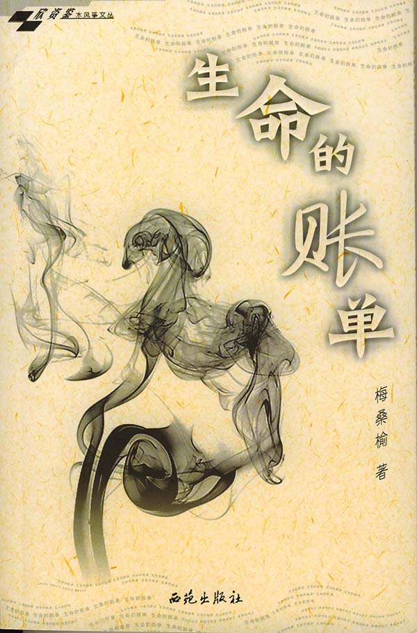 水风筝文丛:生命的帐单【正版图书】