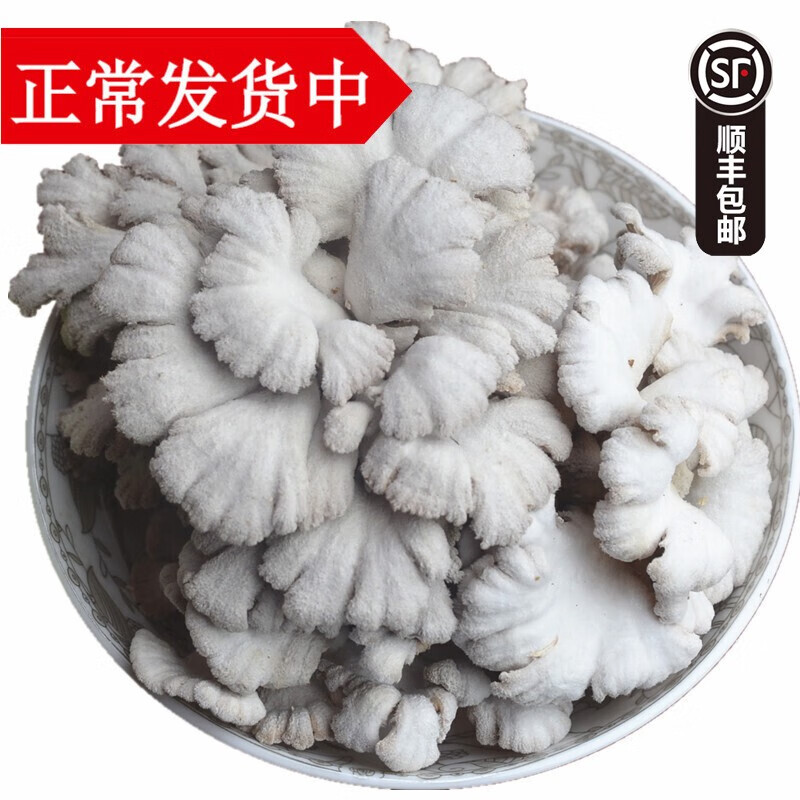 云南特产新鲜雪莲菌500g 白参菌食用菌蘑菇似干巴菌 顺丰