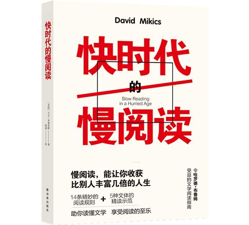 包邮 快时代的慢阅读大卫·米基克斯文学9787544786621  文学爱好者