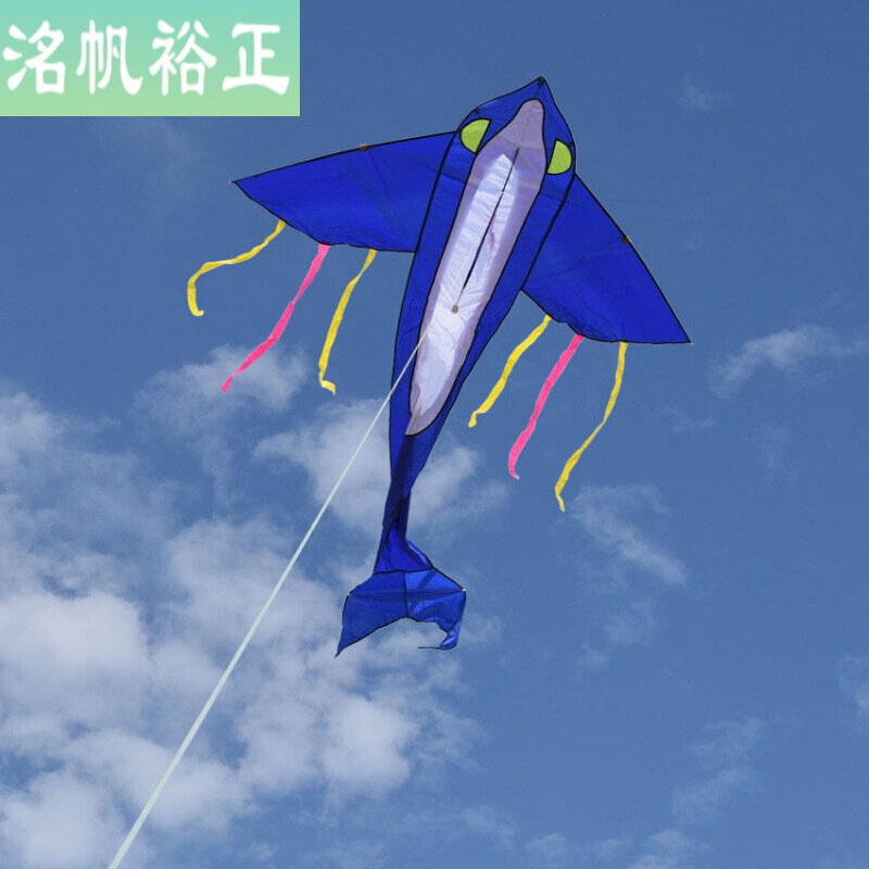 海滩草原亲子运动潍坊新款海豚风筝 大海豚风筝 鲸鱼风筝 成人 a 仅大