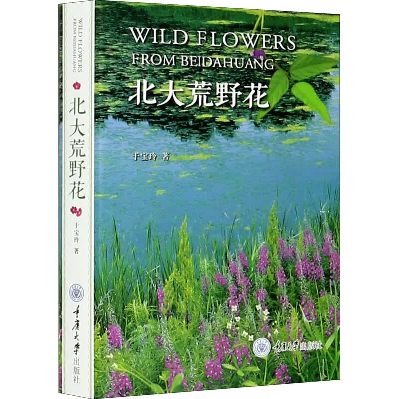 北大荒野花 于宝玲 书籍