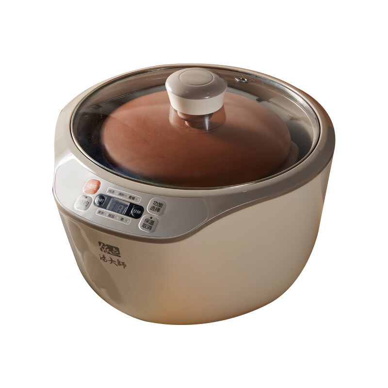 湯大師电炖锅 电炖盅 4人用家用隔水炖炖盅 煲汤锅炖汤锅 电砂锅 紫砂锅 煮粥锅炖饭养生神器可预约 DZ32-1/ 3.2L