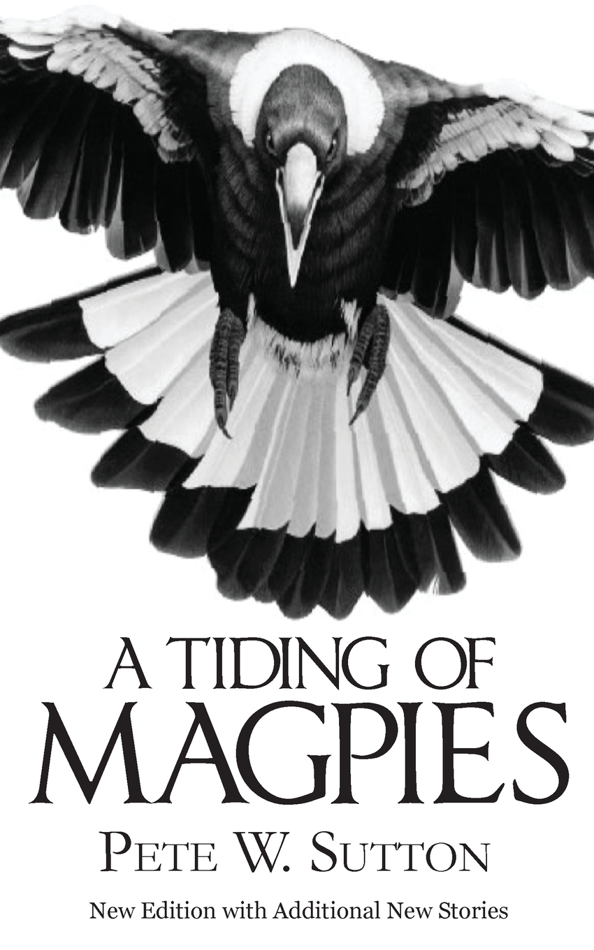 【预售 按需印刷】a tiding of magpies