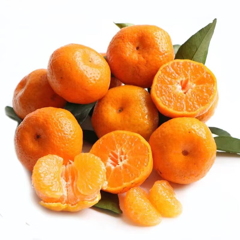 皓谦广西新鲜砂糖橘 纯甜砂糖小蜜 新鲜当季水果金秋小橘子 5斤