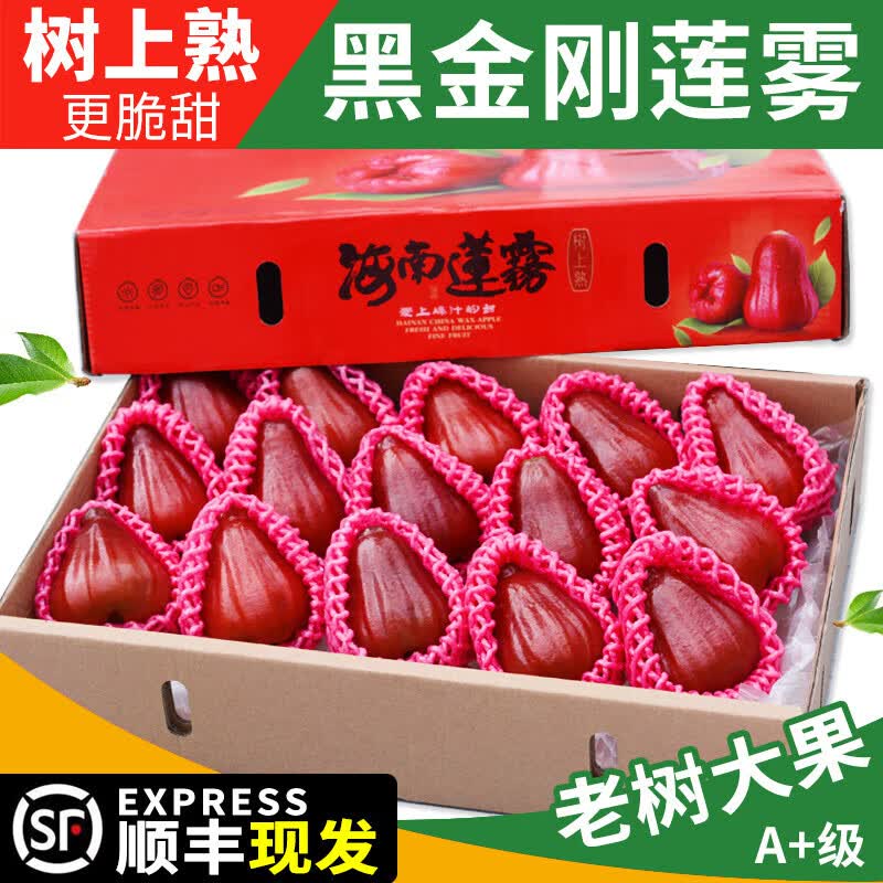 四叔公果蔬黑金刚莲雾(顺丰)特大果当季新鲜水果礼盒海南/福建红宝石莲雾 精选3斤中果【8枚+/斤】 团购/售后详询客服属于什么档次？