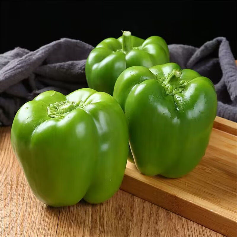 红允山东圆椒青椒彩椒不辣新鲜柿子椒灯笼椒太空椒水果沙拉 5斤大果