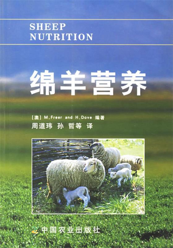 绵羊营养