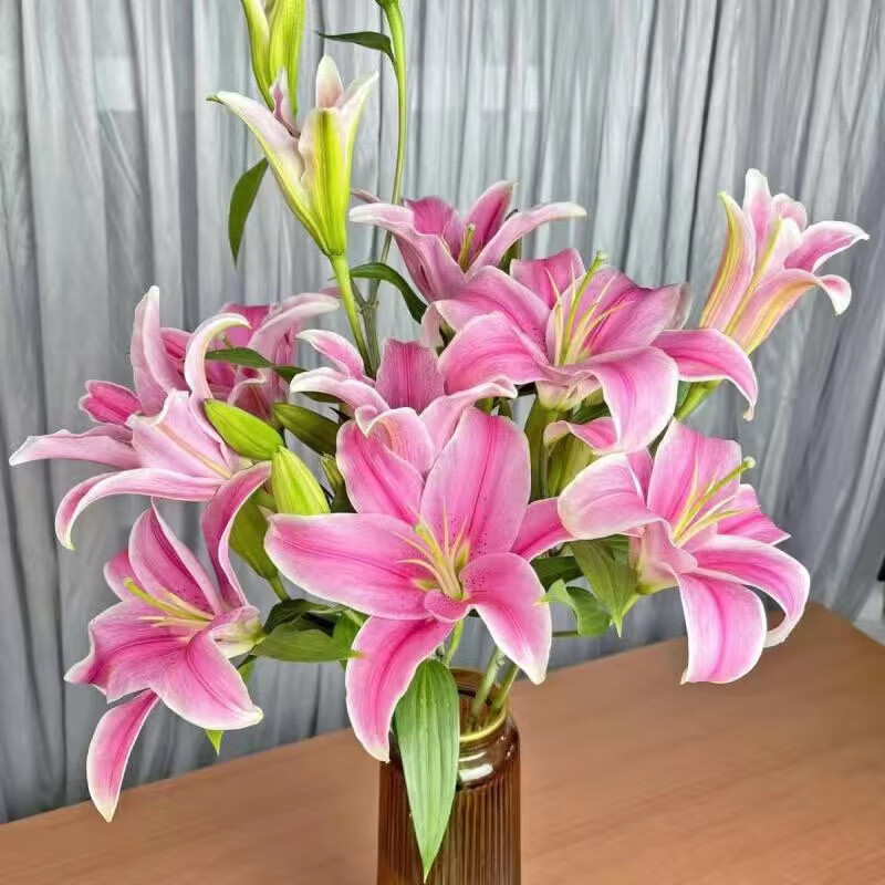 多头百合鲜花家庭办公室插花速递基地直发真花水养教师节礼物 粉色