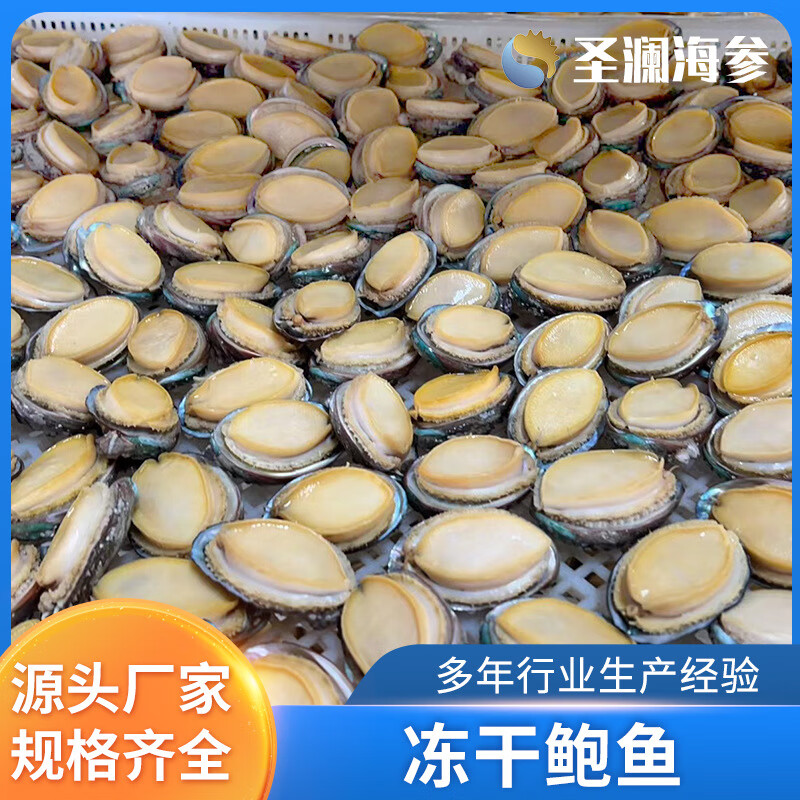 一件现货带壳鲍鱼干fd鲍鱼冻干鲍鱼干货新款鲍鱼礼盒装源头现货 500g