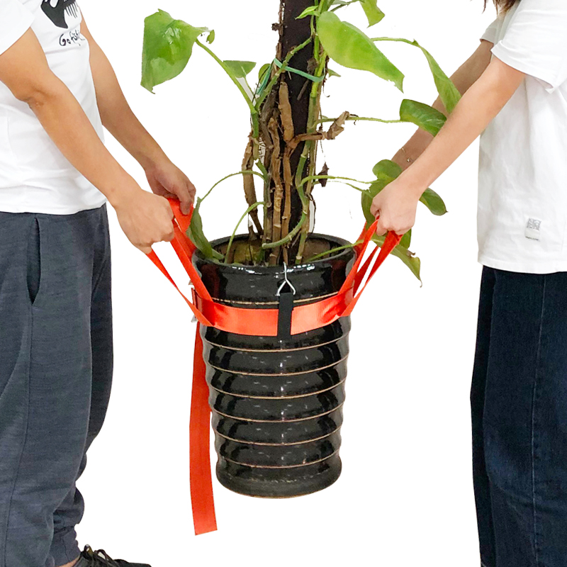 致荟树搬花盆神器花盆搬运带省力固定绳盆栽树木移动位置神器托物绳子