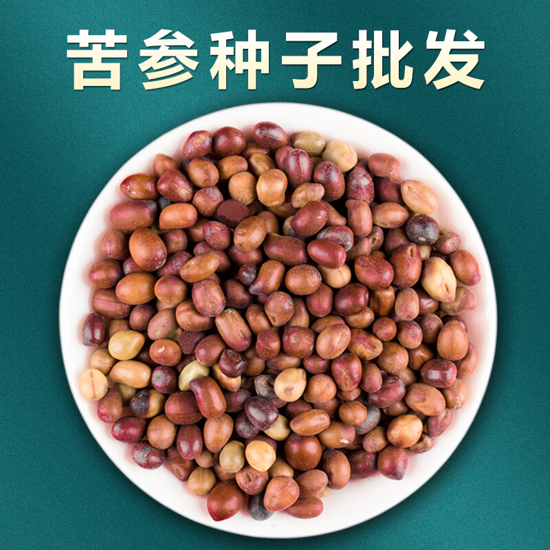 种子苦参籽四季种植苗根可泡茶另有当归苍术蛇床子种子 苦参种子200粒
