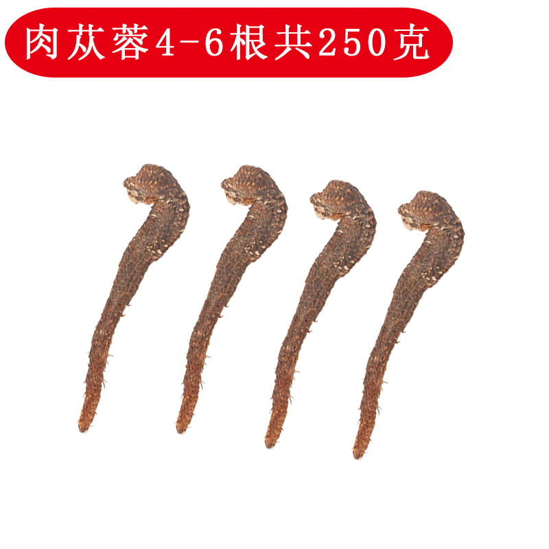 精选内蒙古阿拉善肉苁蓉整根特级油性泡酒泡茶淫羊藿男性滋补养生 肉