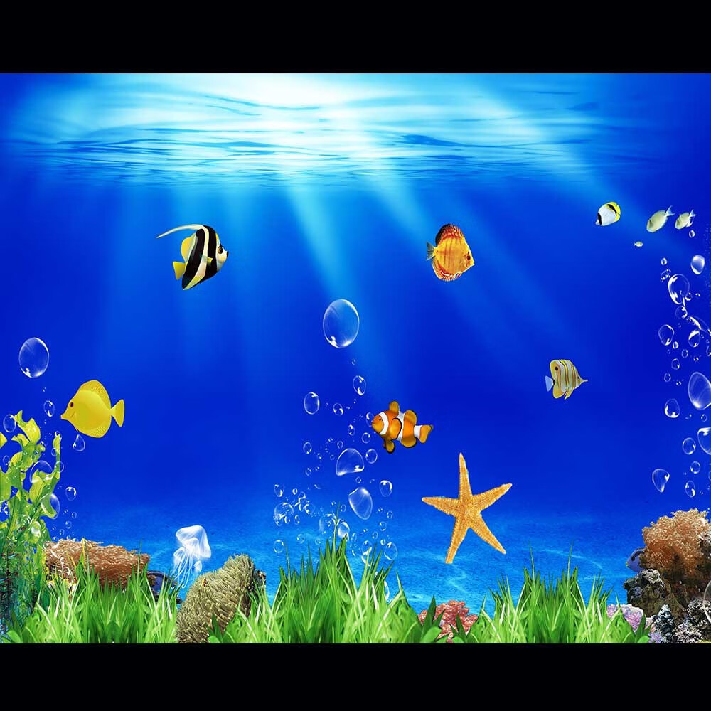 鱼缸背景贴纸高清图3D立体背景画水族箱壁纸海底世界造景自粘画 海洋小鱼-1 60x0x40cm